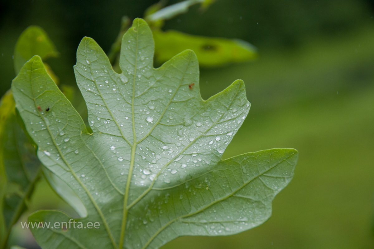 127 Next targets will be waiting in Germany